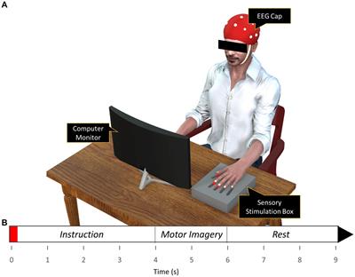 Enhanced motor imagery of digits within the same hand via vibrotactile stimulation